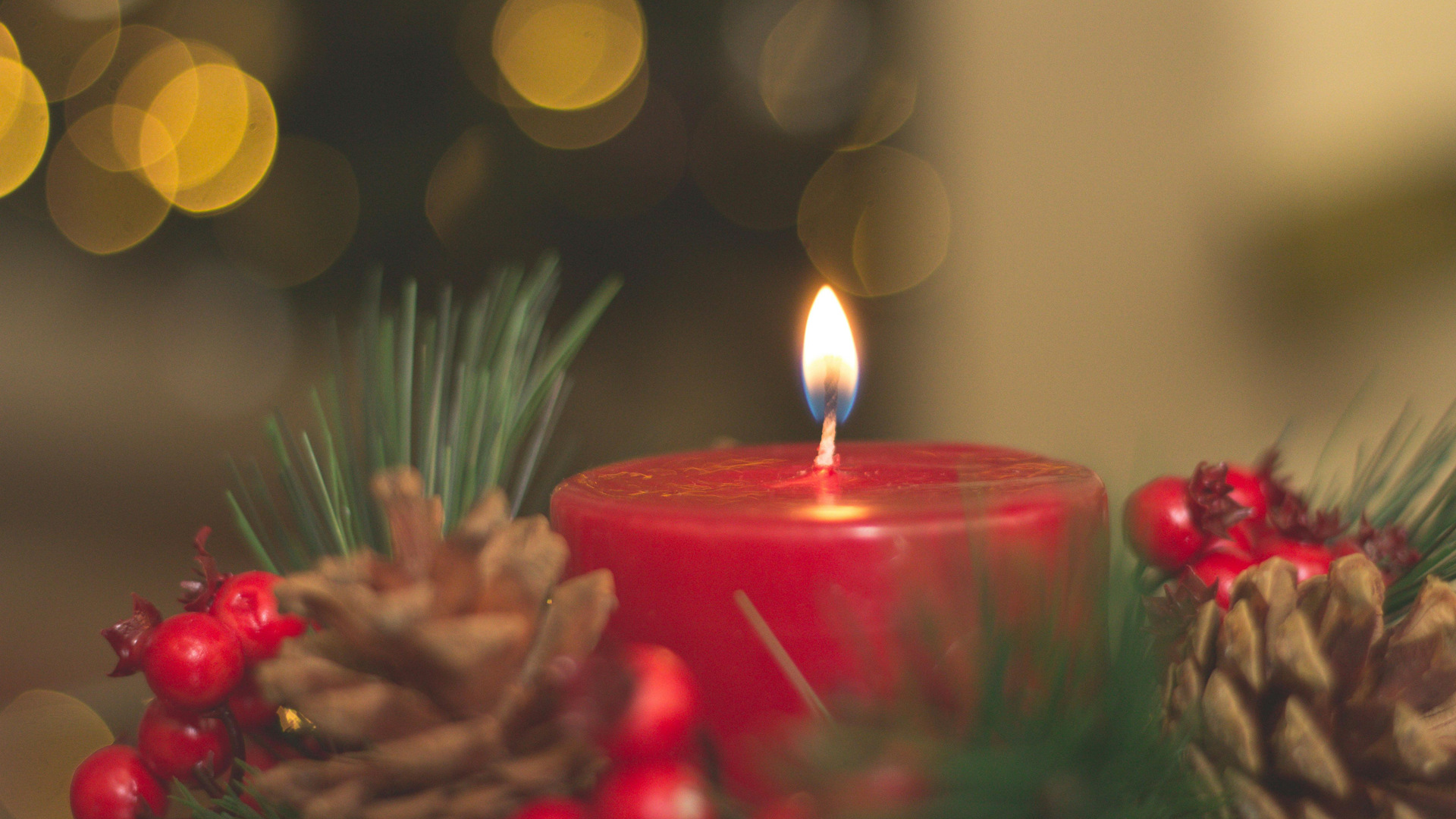 pexels-nubikini-714898 (1).jpg