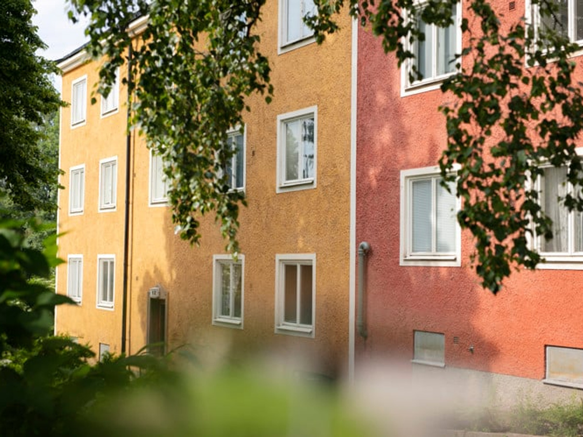 _68a4822_rusthllarevgen_rotsunda_nr-5_facebook-post.jpg