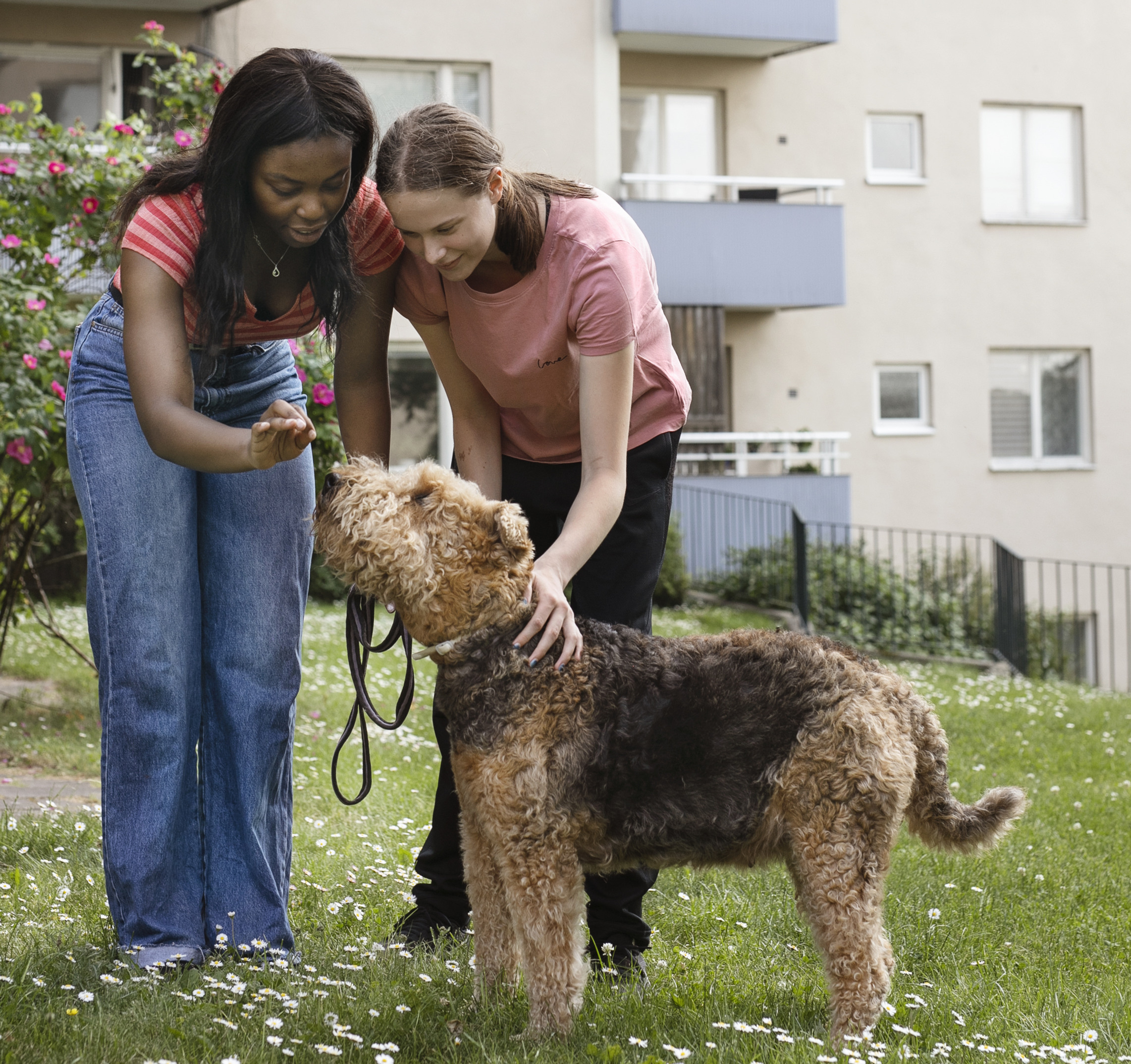 Omslagsbild_Sommarjobb Edsberg.jpg