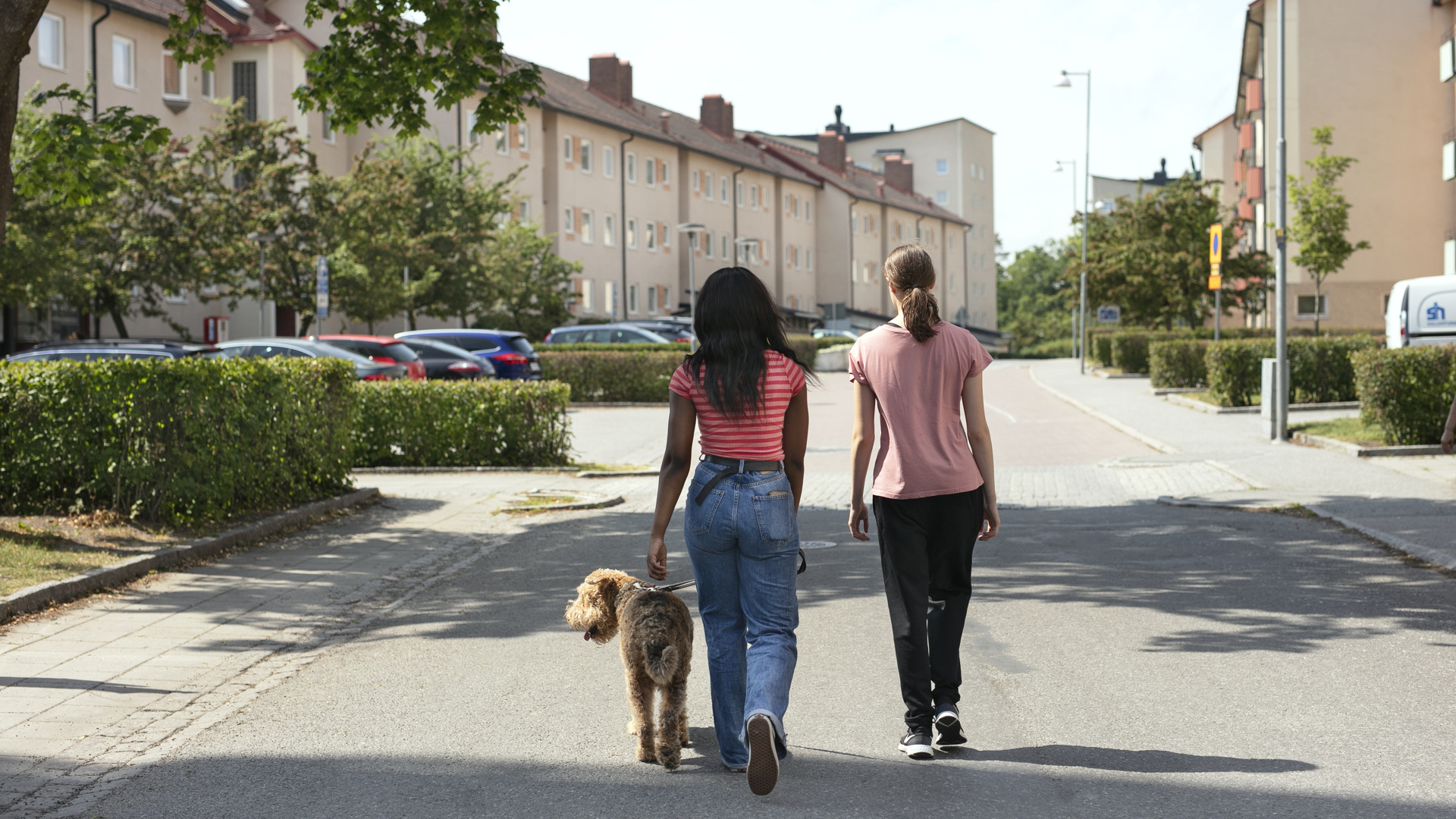 _68A5839_Sommarjobb Edsberg_nr 6.jpg